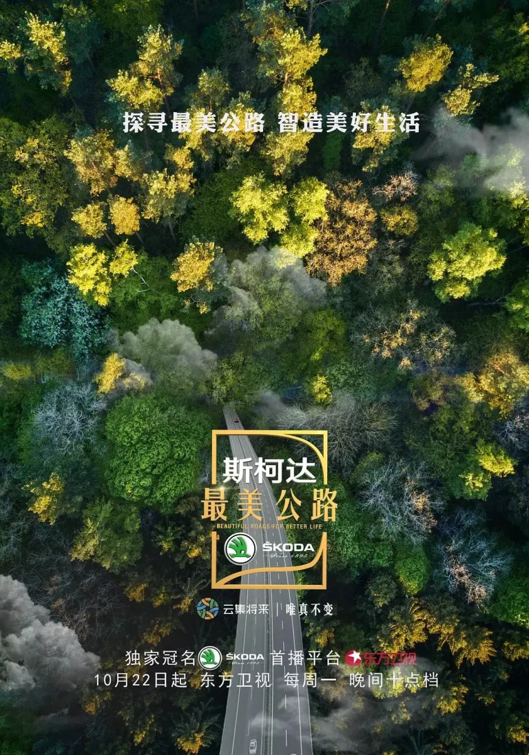 《最美公路》全集高清完整版在线观看与剧情解析