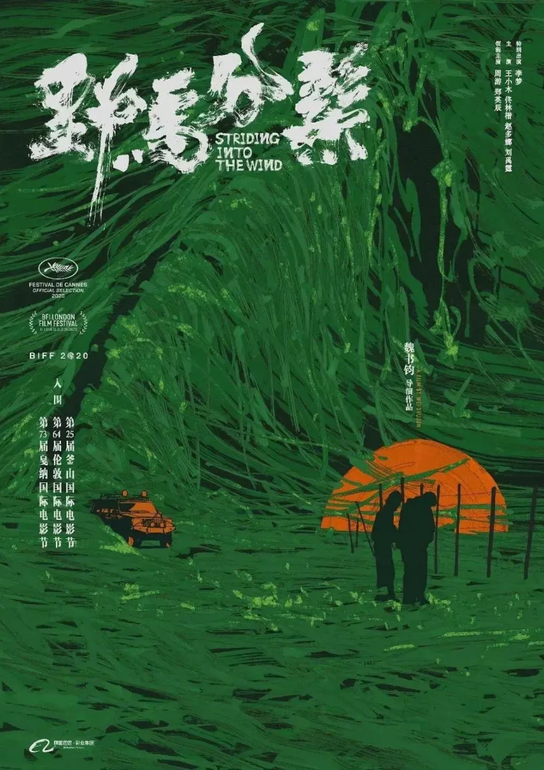 《野马分鬃》全集高清完整版在线观看与剧情解析