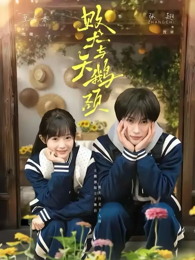 红果平台五一档四部短剧集中上线：《错嫁有喜》《败犬与天鹅颈》等引发家庭向追剧潮 - 现场图
